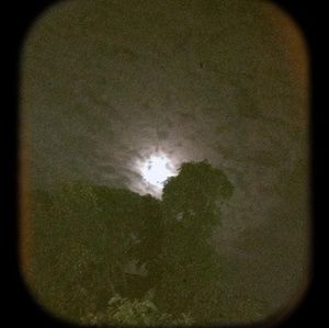 Meet your Posher, Sophy